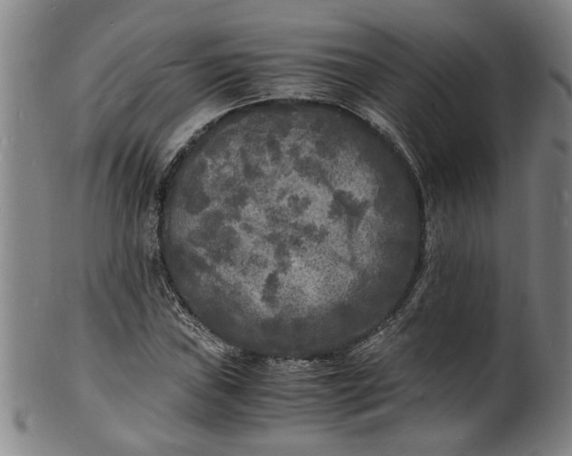 X0000101481019200807211354