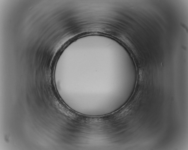 X0000101481020200807211354