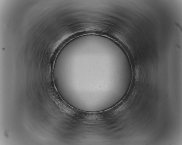 X0000101481021200807211354