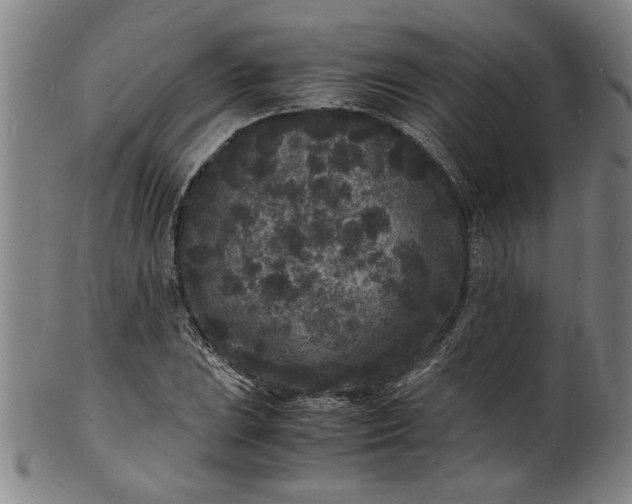 X0000101481023200807211354