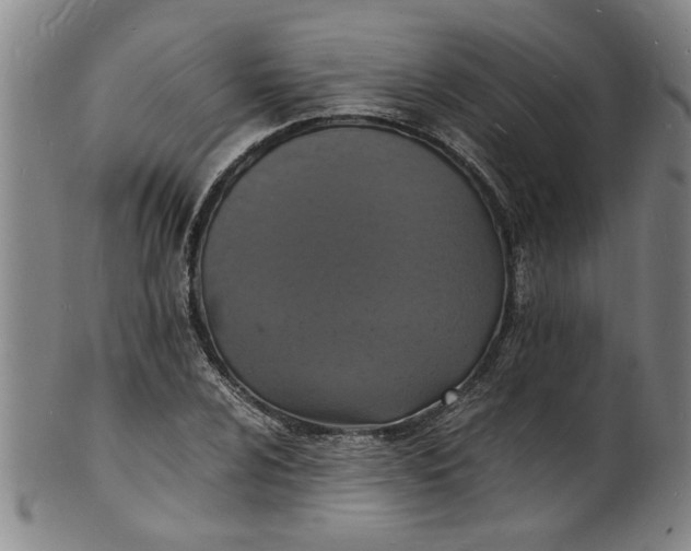 X0000101481024200807211354