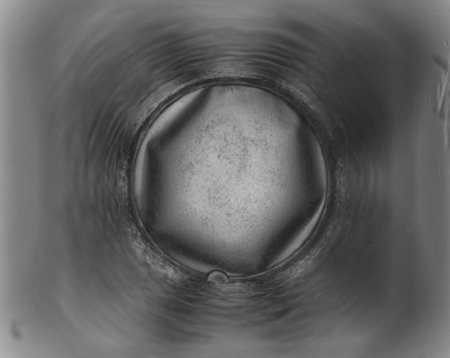 X0000101481025200807211354