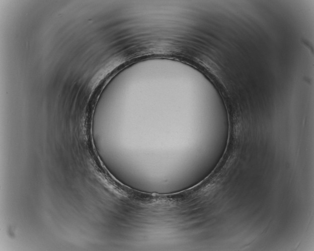 X0000101481026200807211354