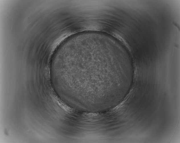 X0000101481027200807211354