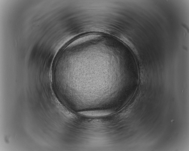 X0000101481028200807211354