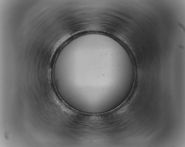 X0000101481029200807211354