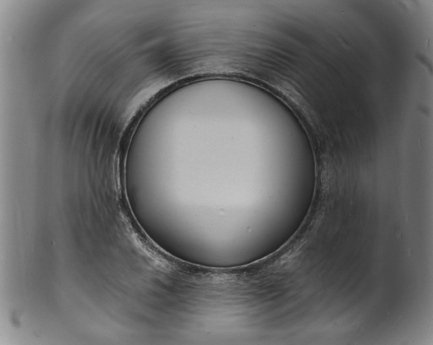 X0000101481030200807211354