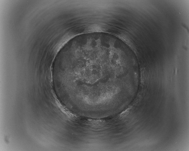 X0000101481031200807211354