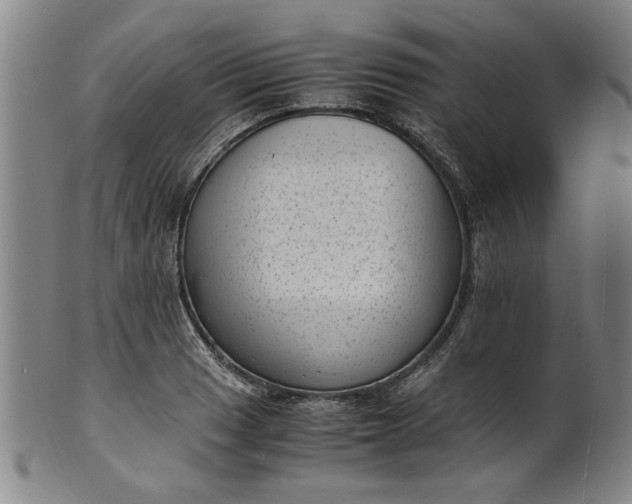 X0000101481033200807211354