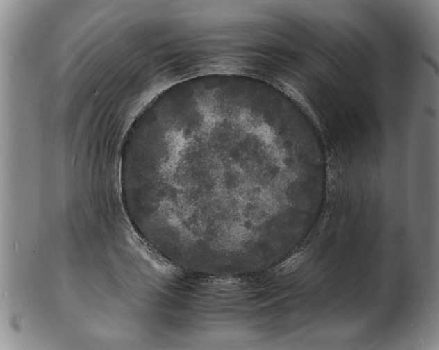 X0000101481035200807211354