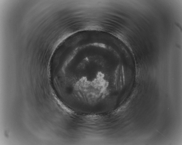 X0000101481037200807211354