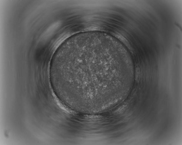 X0000101481039200807211354