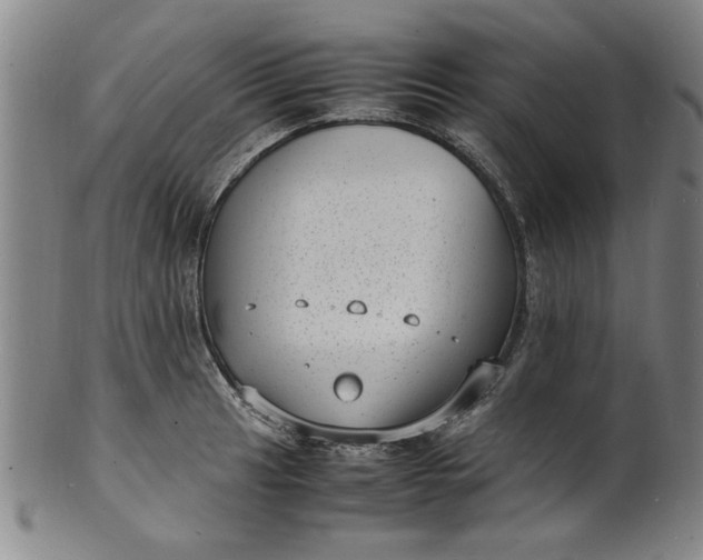 X0000101481041200807211354