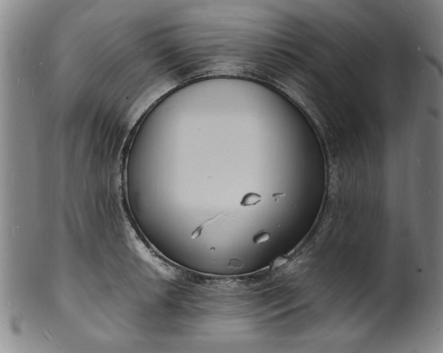 X0000101481042200807211354