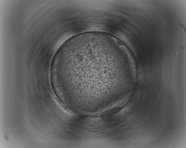 X0000101481043200807211354