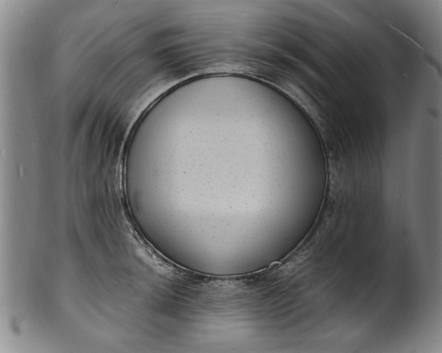 X0000101481044200807211355