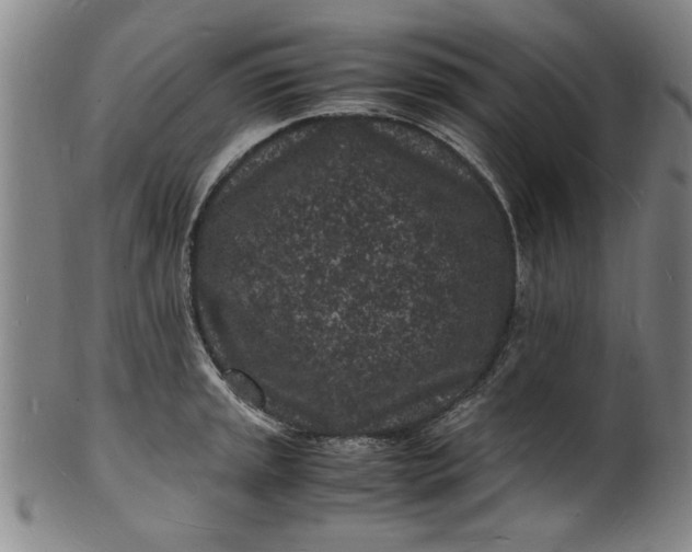 X0000101481045200807211355