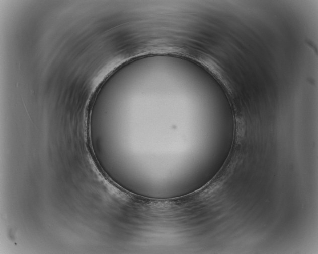 X0000101481046200807211355