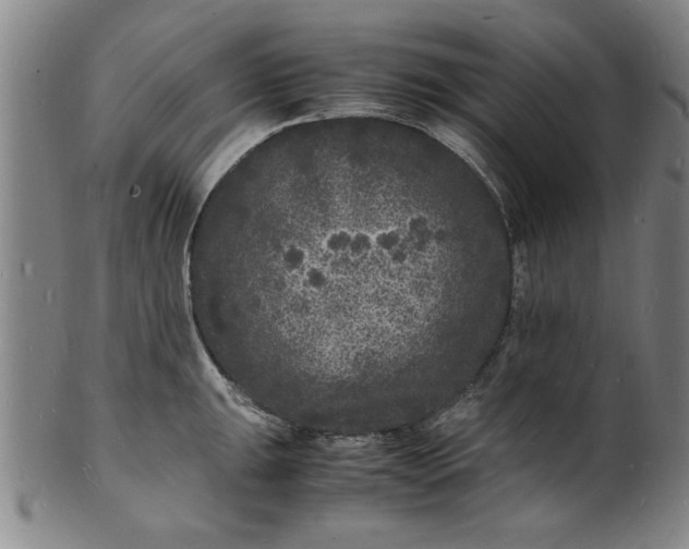 X0000101481047200807211355