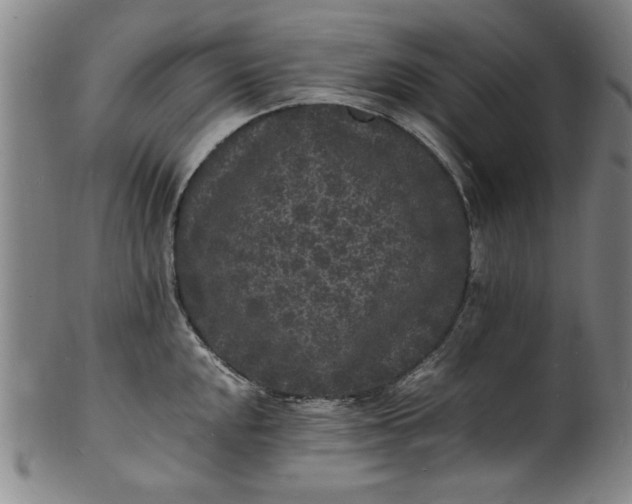 X0000101481048200807211355