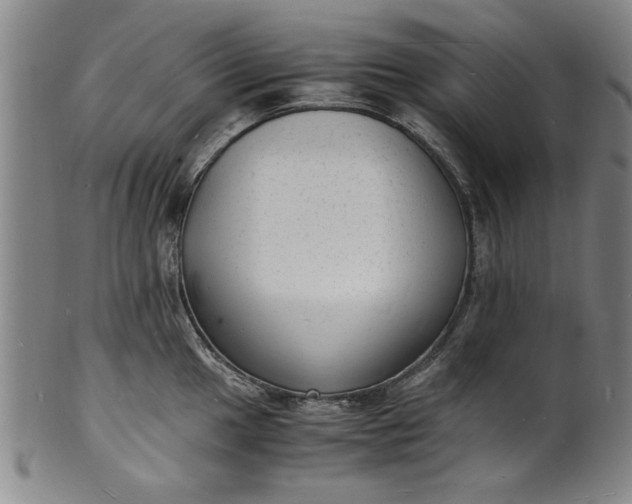 X0000101481049200807211355