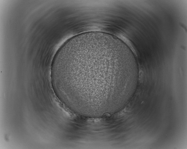 X0000101481051200807211355