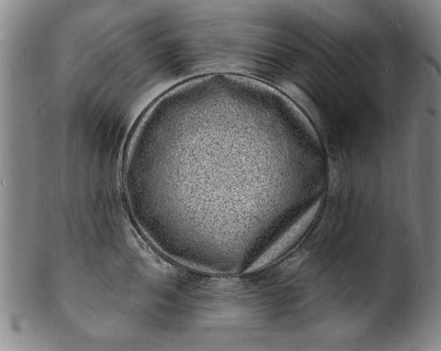 X0000101481052200807211355