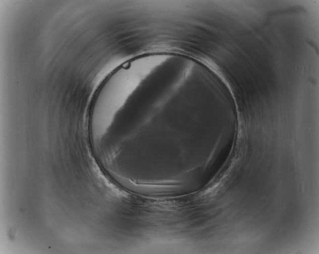 X0000101481053200807211355