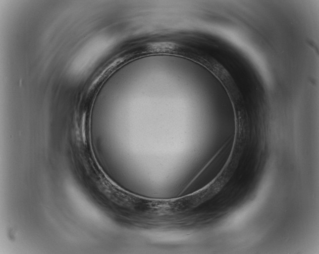 X0000101481054200807211355