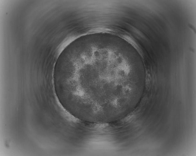 X0000101481055200807211355