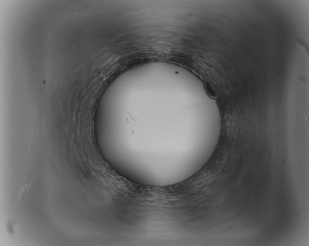 X0000101481057200807211354