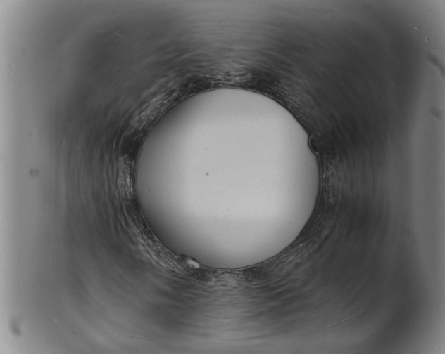 X0000101481058200807211354