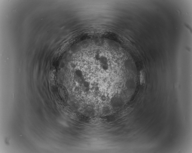 X0000101481059200807211354