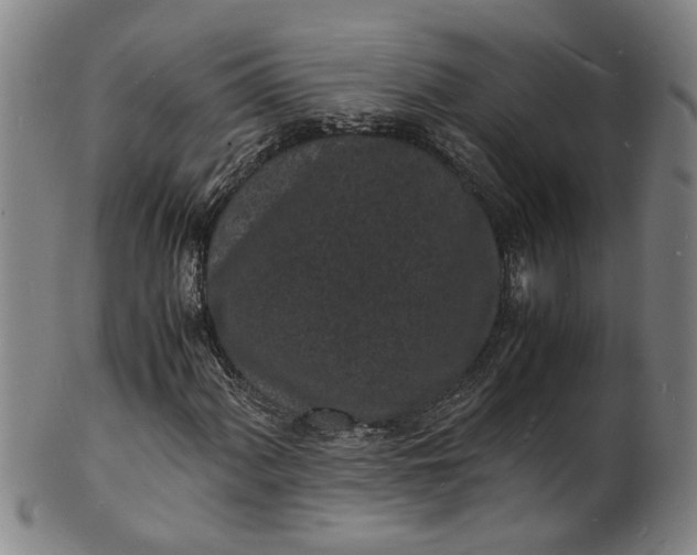 X0000101481060200807211354