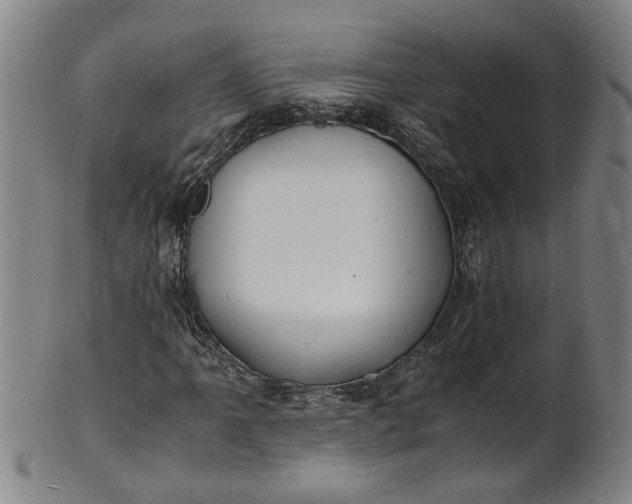 X0000101481061200807211354