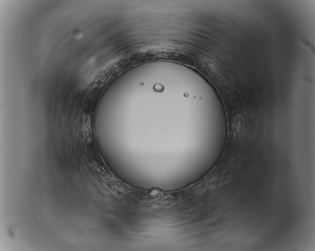 X0000101481062200807211354