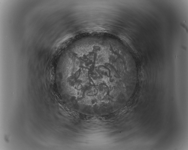 X0000101481063200807211354