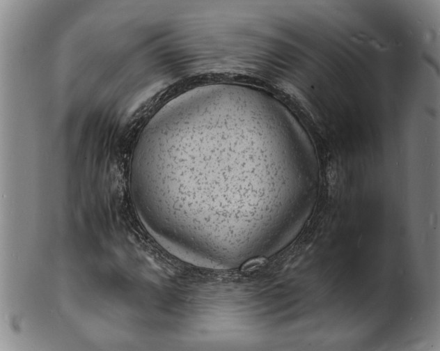 X0000101481064200807211354