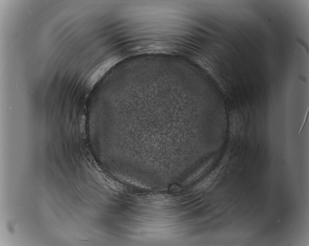 X0000101481066200807211354