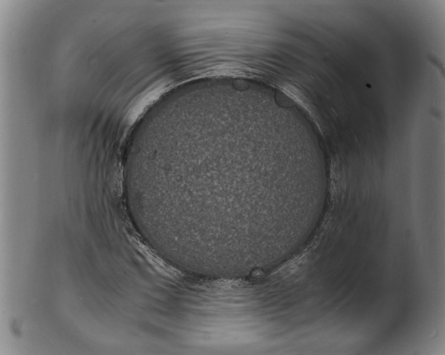 X0000101481067200807211354