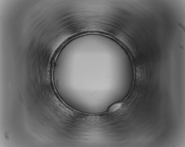 X0000101481068200807211354