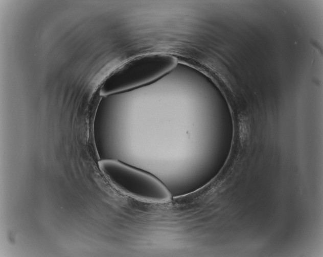 X0000101481069200807211354