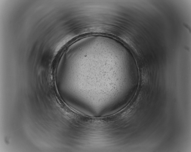 X0000101481070200807211354