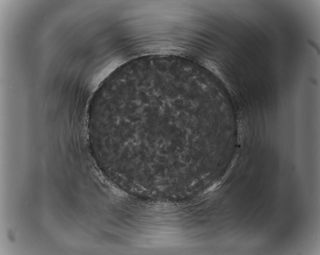 X0000101481071200807211354