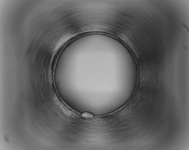 X0000101481072200807211354