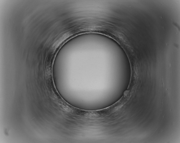 X0000101481073200807211354