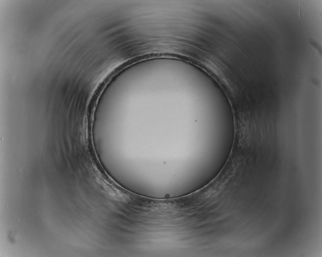 X0000101481076200807211354