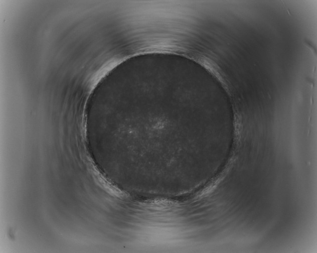 X0000101481077200807211354