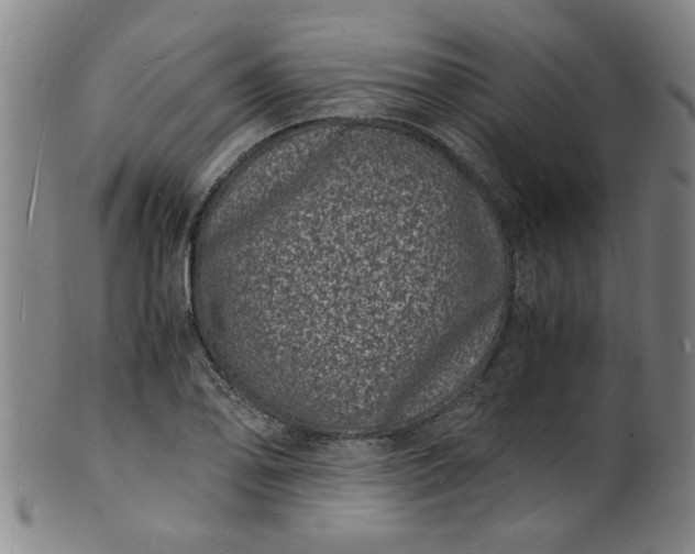 X0000101481078200807211354