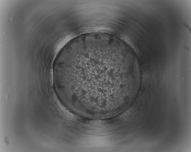 X0000101481079200807211354